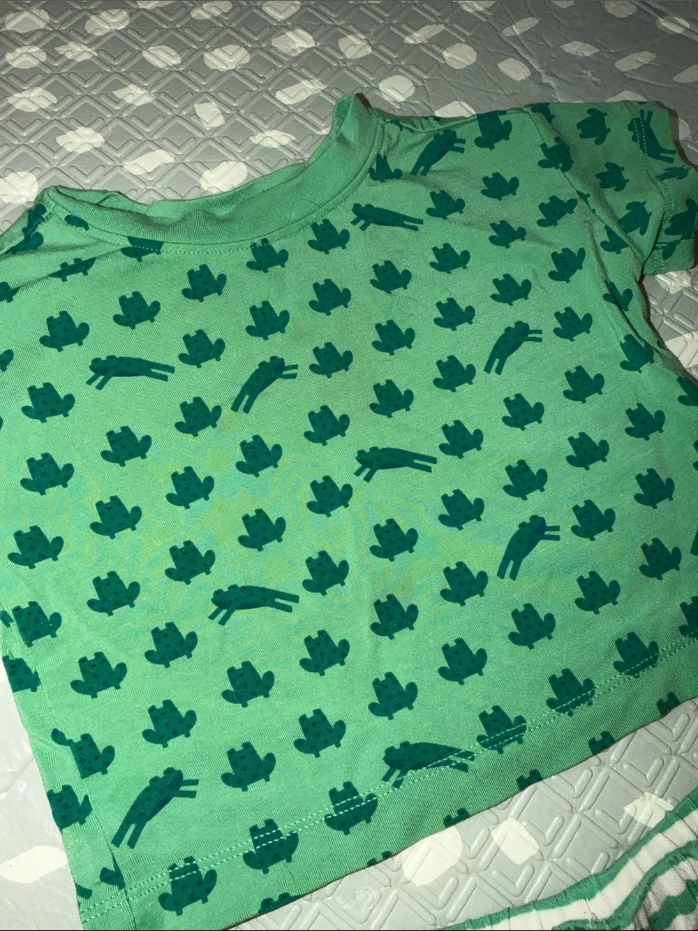 Hanna Andersson Green Frog & Stripe Shorts Set